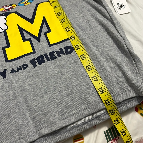 Disney Parks Mickey and Friends Sweatshirt Top - Picture 7 of 8
